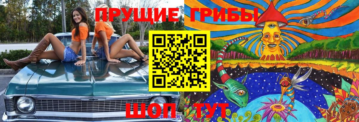 Псилоцибиновые грибы Magic Shrooms Владивосток