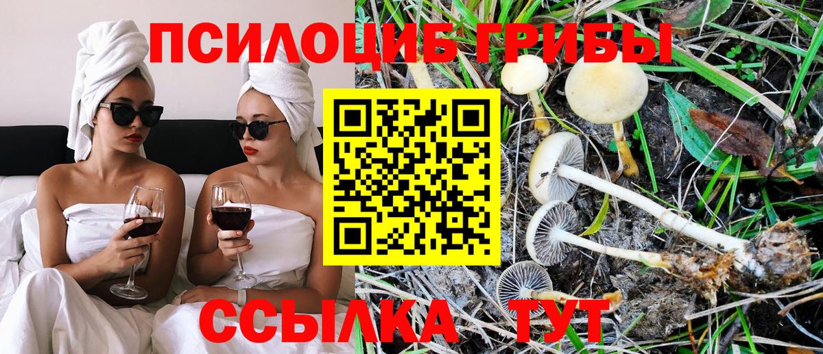 Псилоцибиновые грибы Magic Shrooms  Вход с VPN  Владивосток 