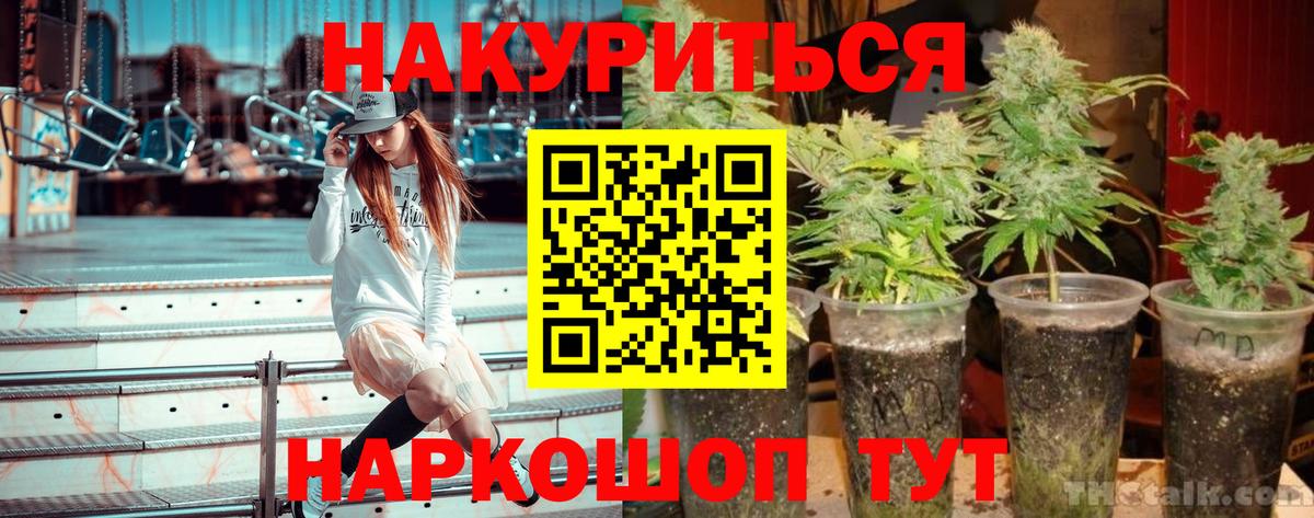 Бошки марихуана сатива Владивосток